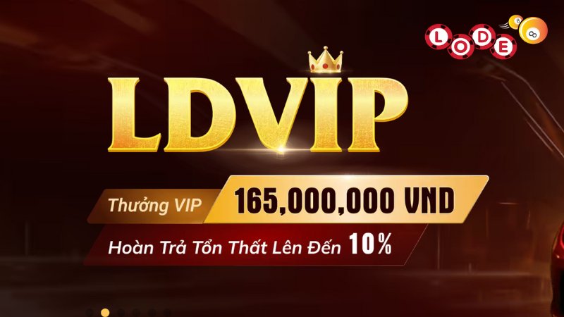 LDVIP nhận mức hoàn trả theo từng cấp độ thành viên